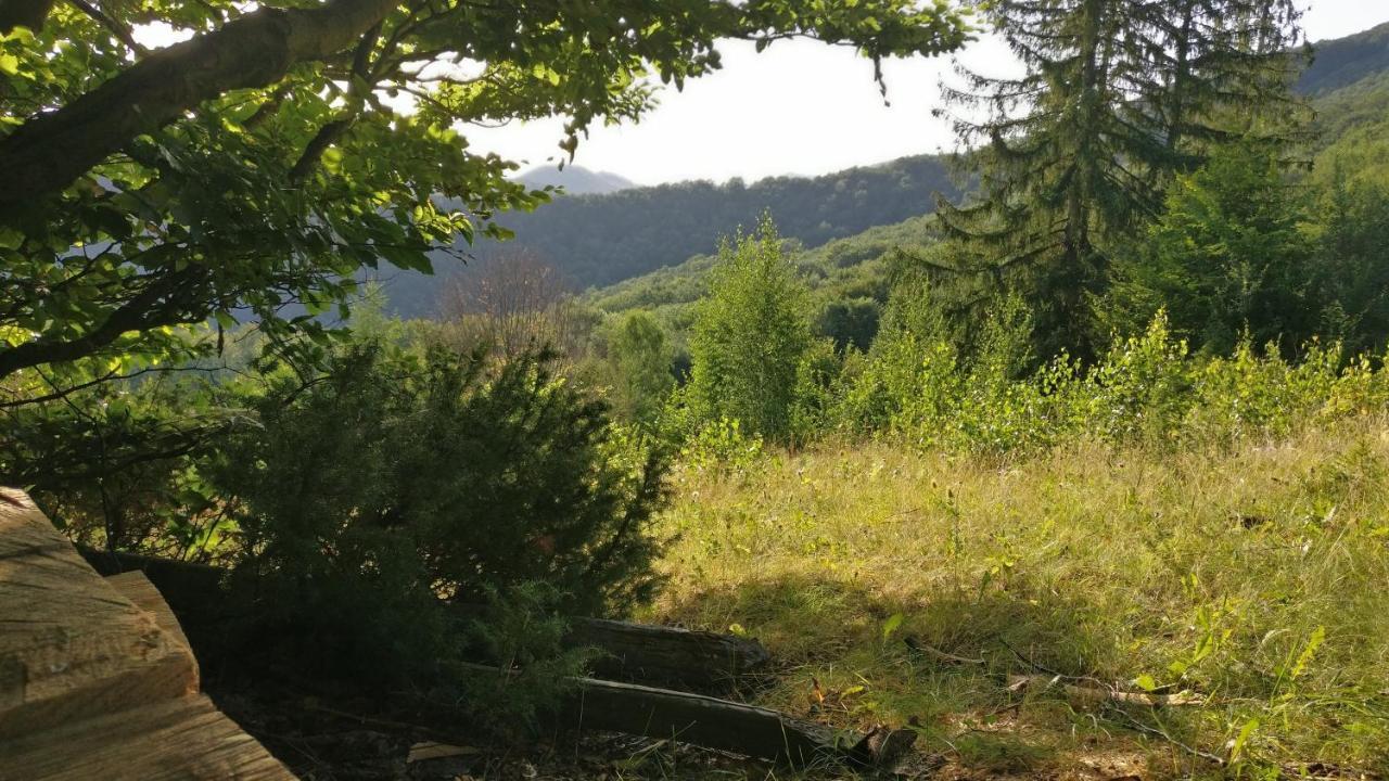 Садиба Федорчуків За Рікою Šešory Exteriér fotografie
